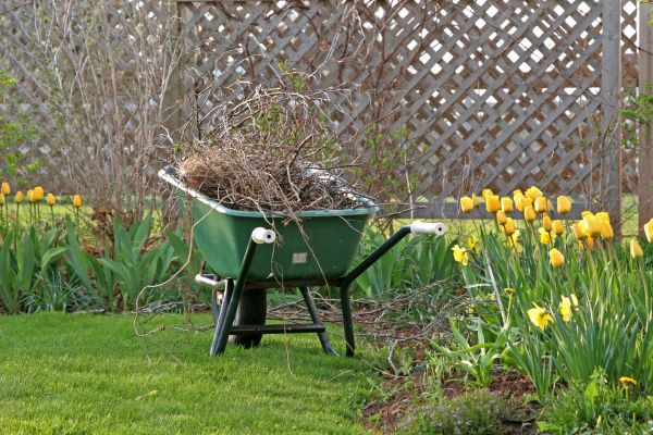 Flower Bed Cleanup Service in Lewes