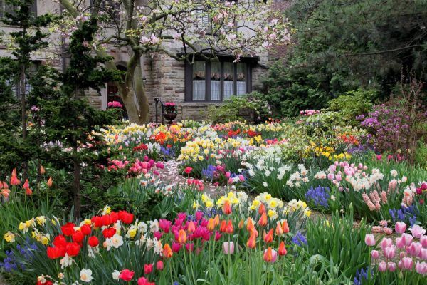 Garden Maintenance Service in Lewes