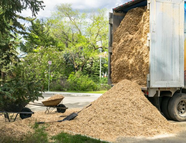 Wood Chips Delivery in Lewes