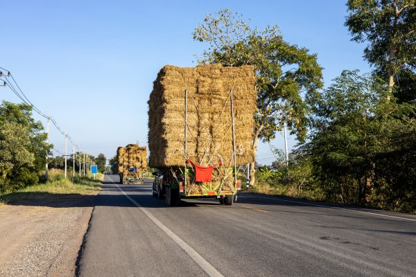 Pine Straw Delivery in Lewes
