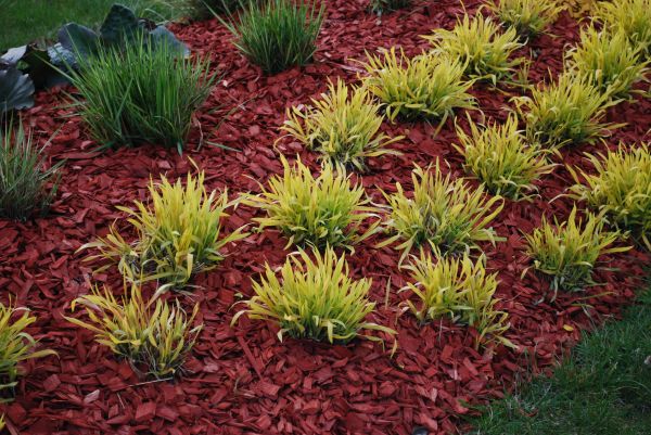Mulch Landscaping in Lewes