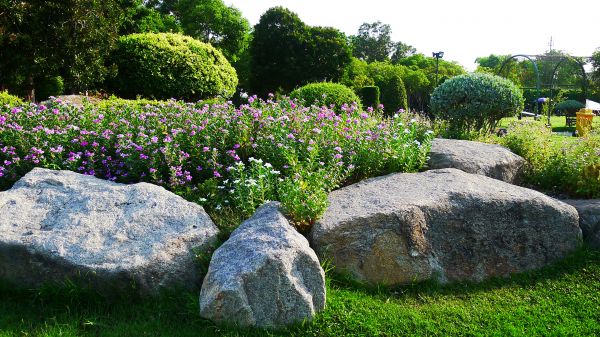 Boulder Landscaping in Lewes