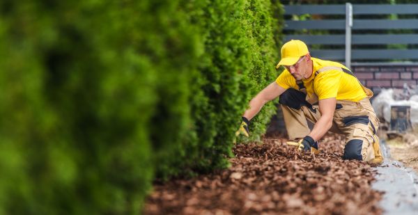Cypress Mulch Installation in Lewes