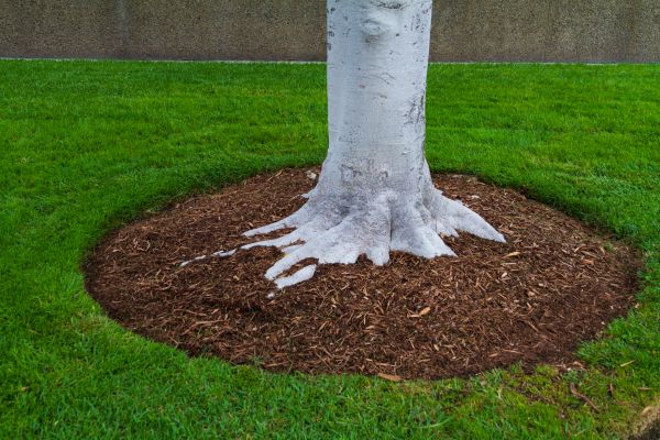 Brown Mulch Installation in Lewes