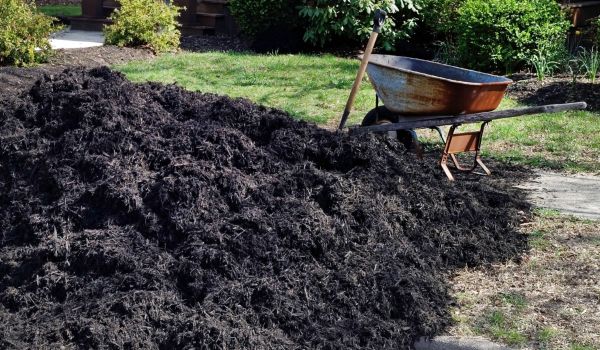 Black Mulch Installation in Lewes