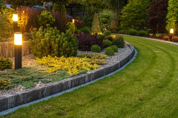 Garden Repair Service in Lewes