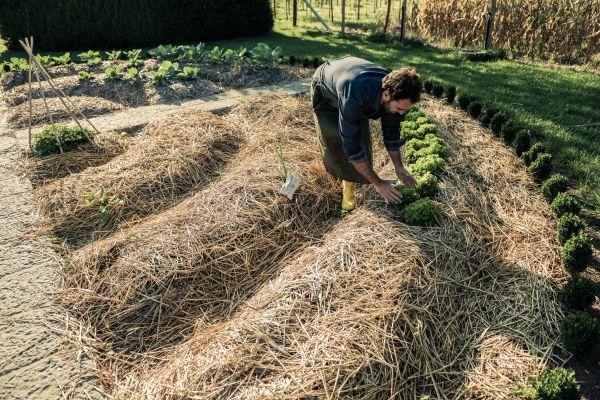 Straw Mulching Service in Lewes