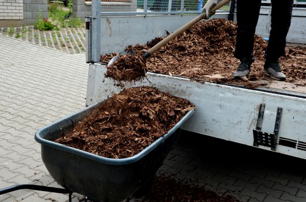 Landscape Mulch Delivery in Lewes