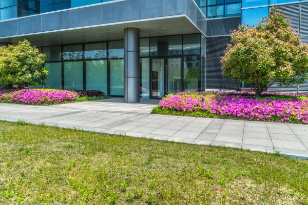 Commercial Gardening in Lewes