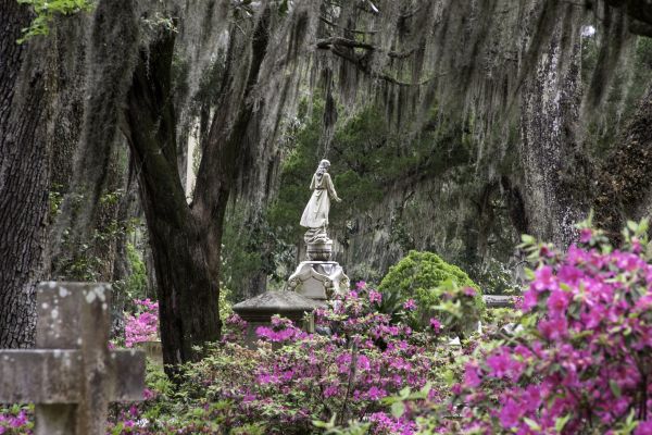 Cemetery Landscaping in Lewes