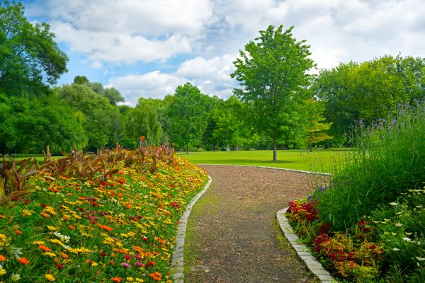 Park Landscaping in Lewes