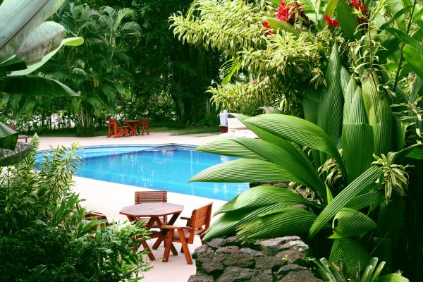 Tropical Garden Landscaping in Lewes