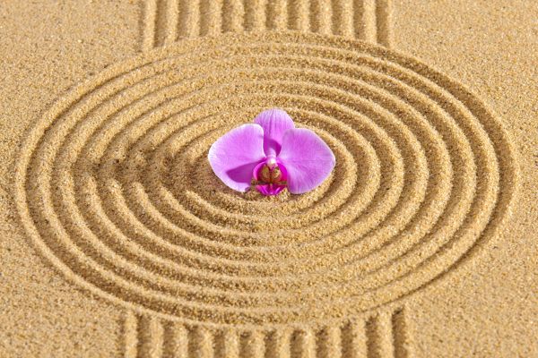 Sand Garden Landscaping in Lewes