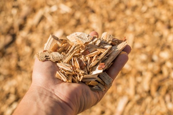 Wood Chips Spreading in Lewes