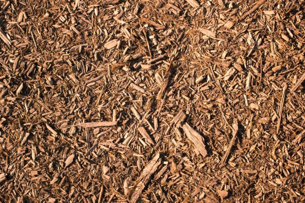 Wood Chips Removal in Lewes