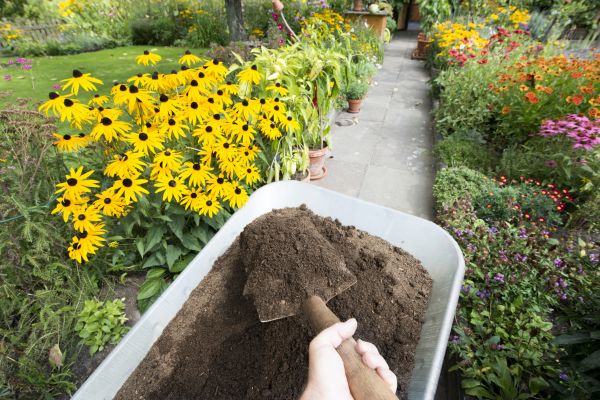 Topsoil Replacement in Lewes