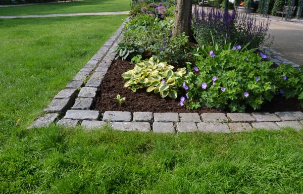 Flower Bed Mulching in Lewes