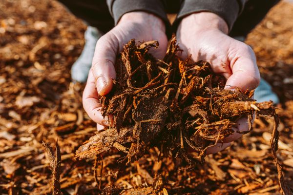 Bark Chips Delivery in Lewes