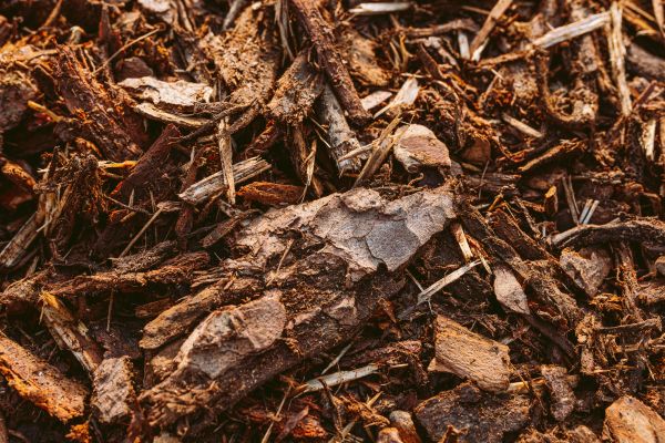 Bark Mulch Delivery in Lewes