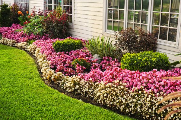 House Landscaping in Lewes