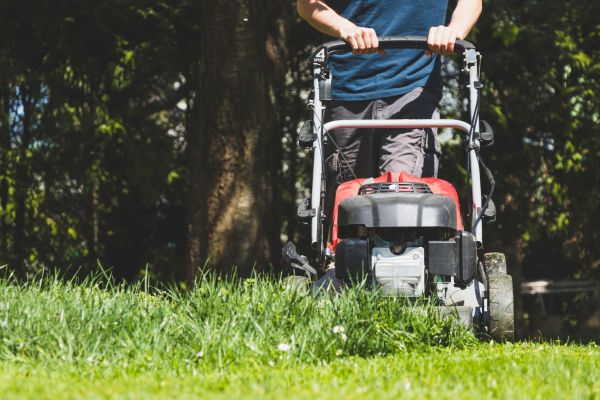 Garden Trimming Service in Lewes