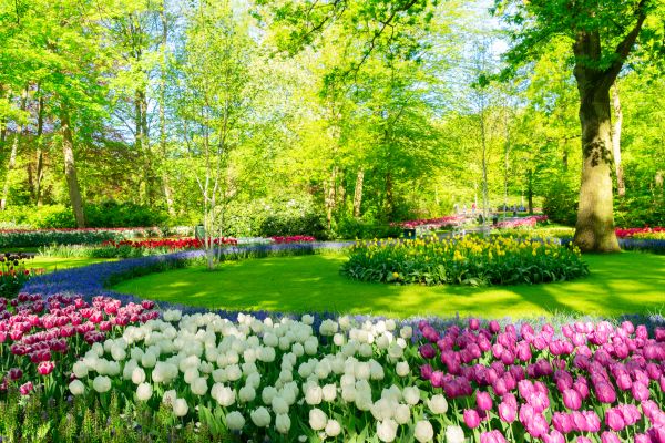 Flower Landscaping in Lewes
