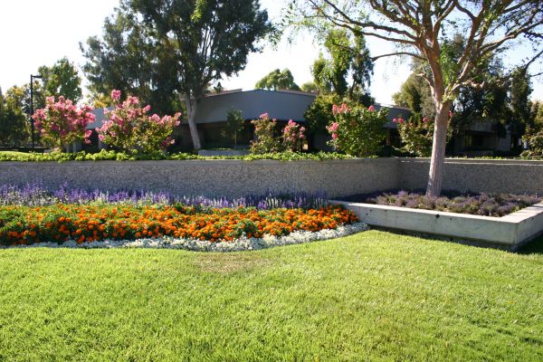 Commercial Landscape Service in Lewes