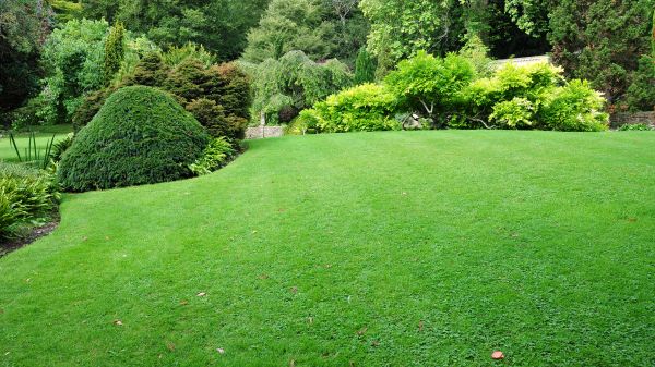 Commercial Landscape Design in Lewes