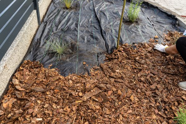 Pine Bark Spreading in Lewes