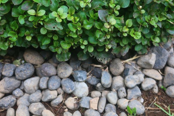 River Stone Installation in Lewes
