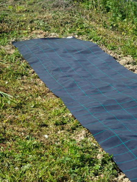 Weed Suppressant Installation in Lewes