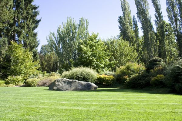 Yard Enlargement in Lewes
