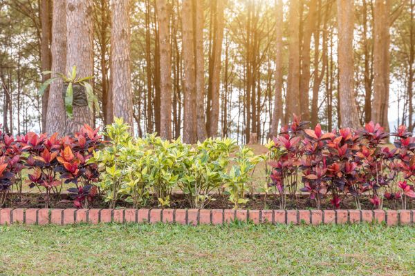 Small Garden Landscaping in Lewes