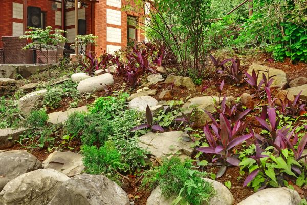 Rock Garden Landscaping in Lewes