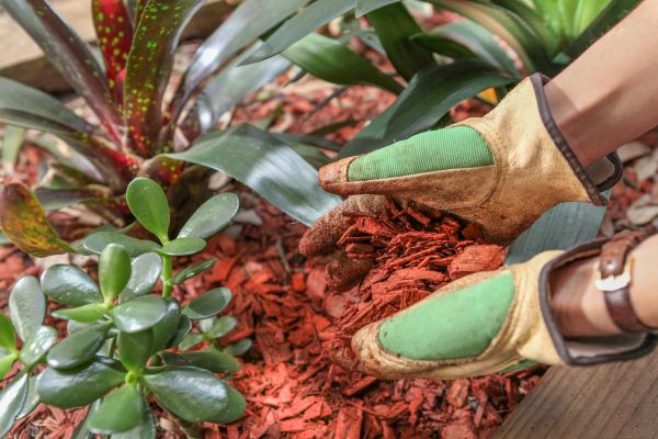 Residential Mulching in Lewes