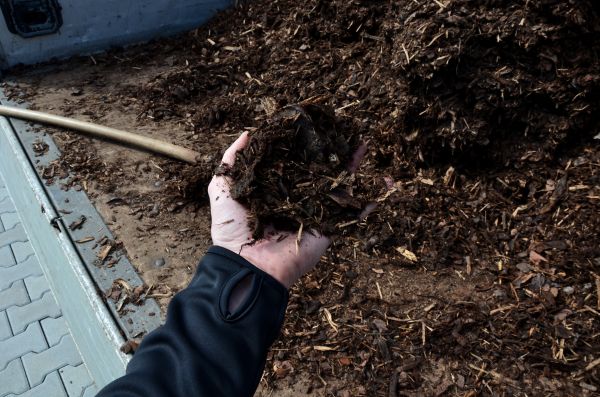 Condo Mulching in Lewes