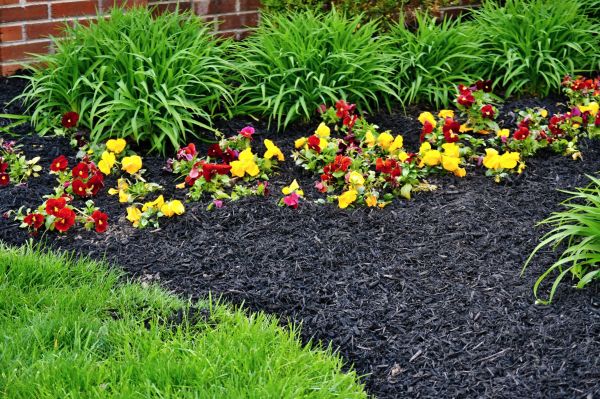 Apartment Mulching in Lewes