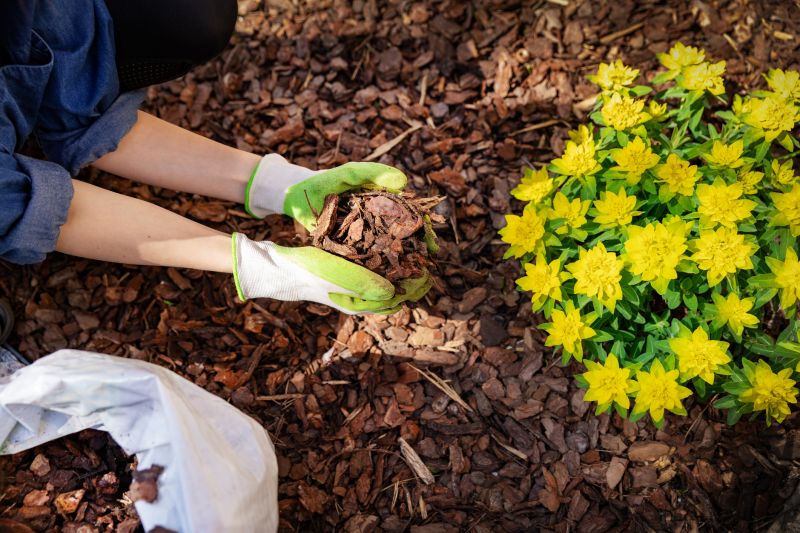 Playground Mulch Service